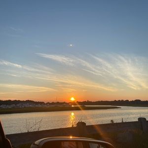 Meet your Posher, Molly